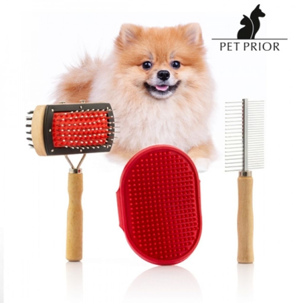 Set di spazzole per cani Collection Pet Prior (3 pezzi) Immagine del prodotto 