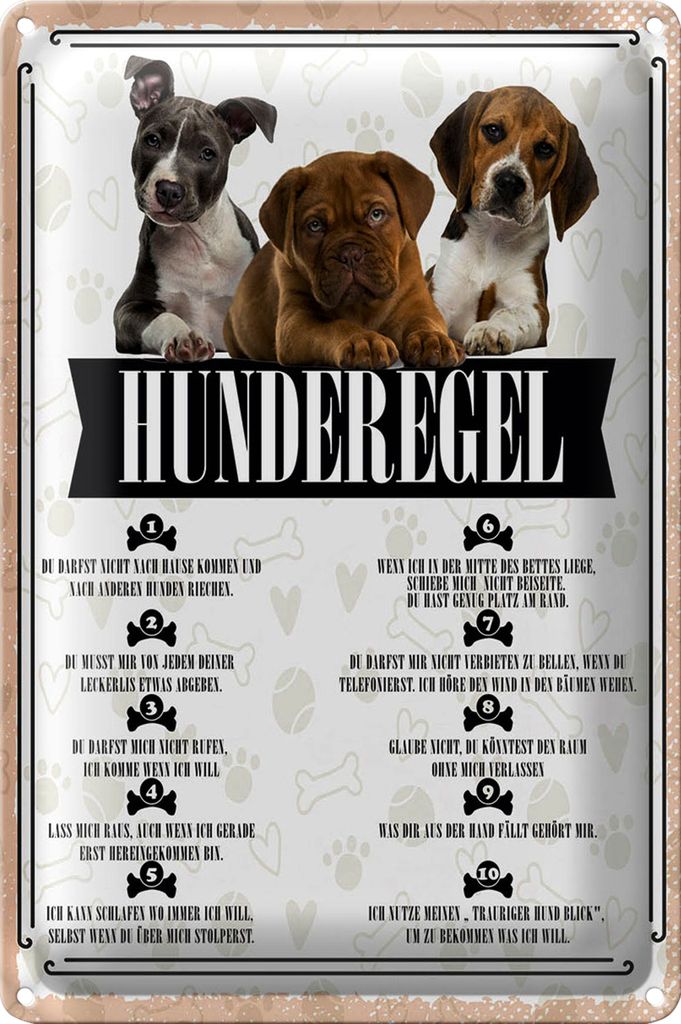 Blechschild Spruch 18x12cm Hunderegel du darfst mich nicht rufen
