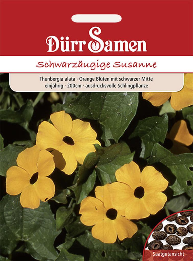 Dürr-Samen - Schwarzäugige Susanne orange mit schwarzer Produktbild 