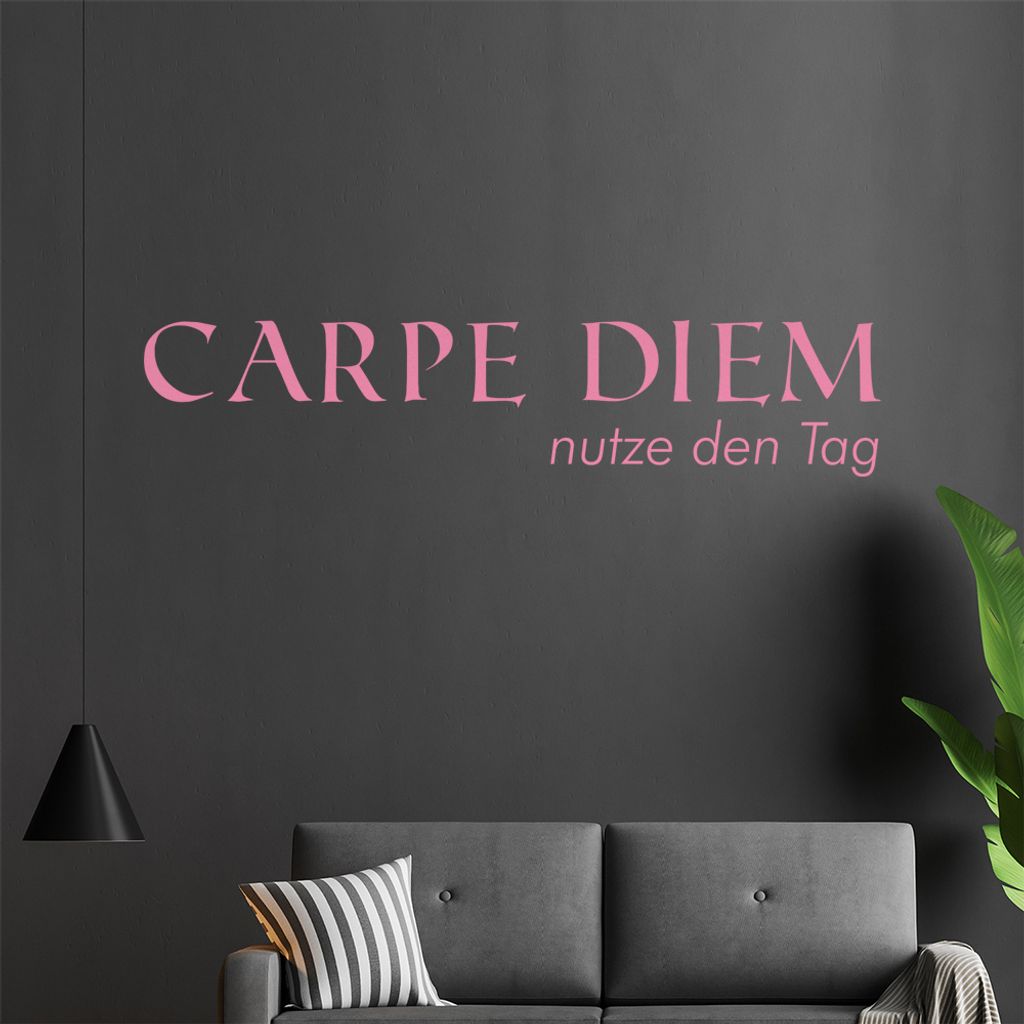 Carpe Diem Wandtattoo in 6 Größen - Wandaufkleber Wall Sticker - Dekoration, Küche, Wohnzimmer, Schlafzimmer, Badezimmer