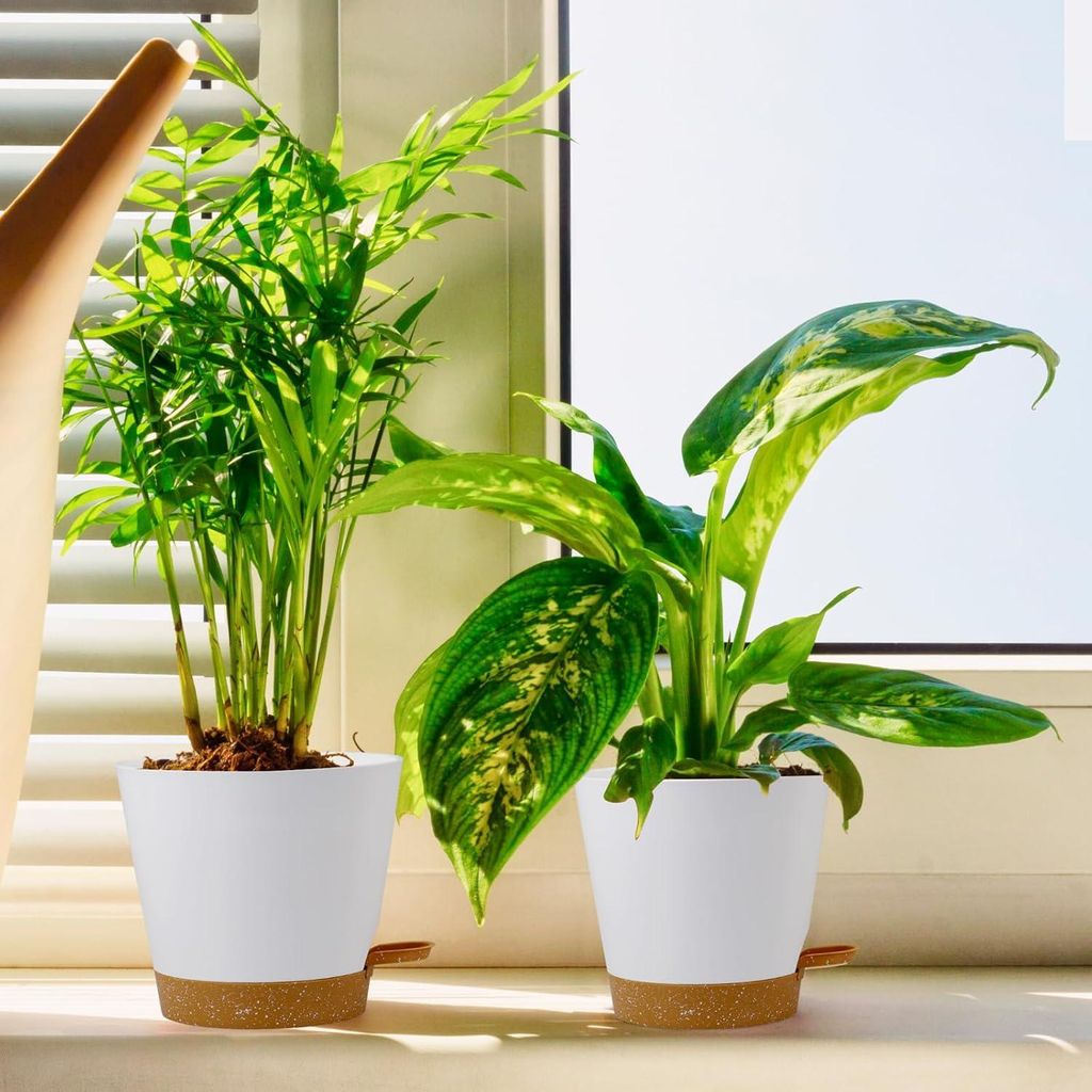 Sechs mittelgroße selbstbewässernde Pflanzenübertöpfe mit Drainagelöchern und Untersetzern - Perfekt für Zimmerpflanzen