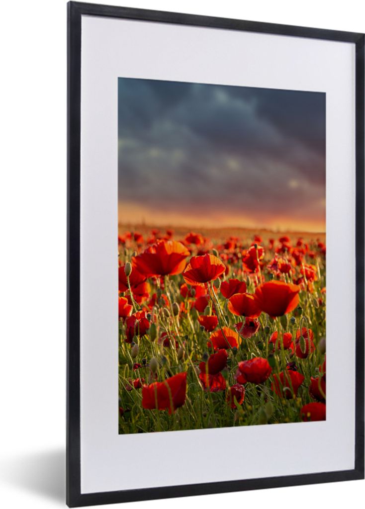 MuchoWow Gerahmtes Poster Sonnenuntergang - Mohnblumen - Rot - Blumen - Feld - Natur 40x60 cm - Poster mit Schwarzem Bilderrahmen Wandposter Rahm...