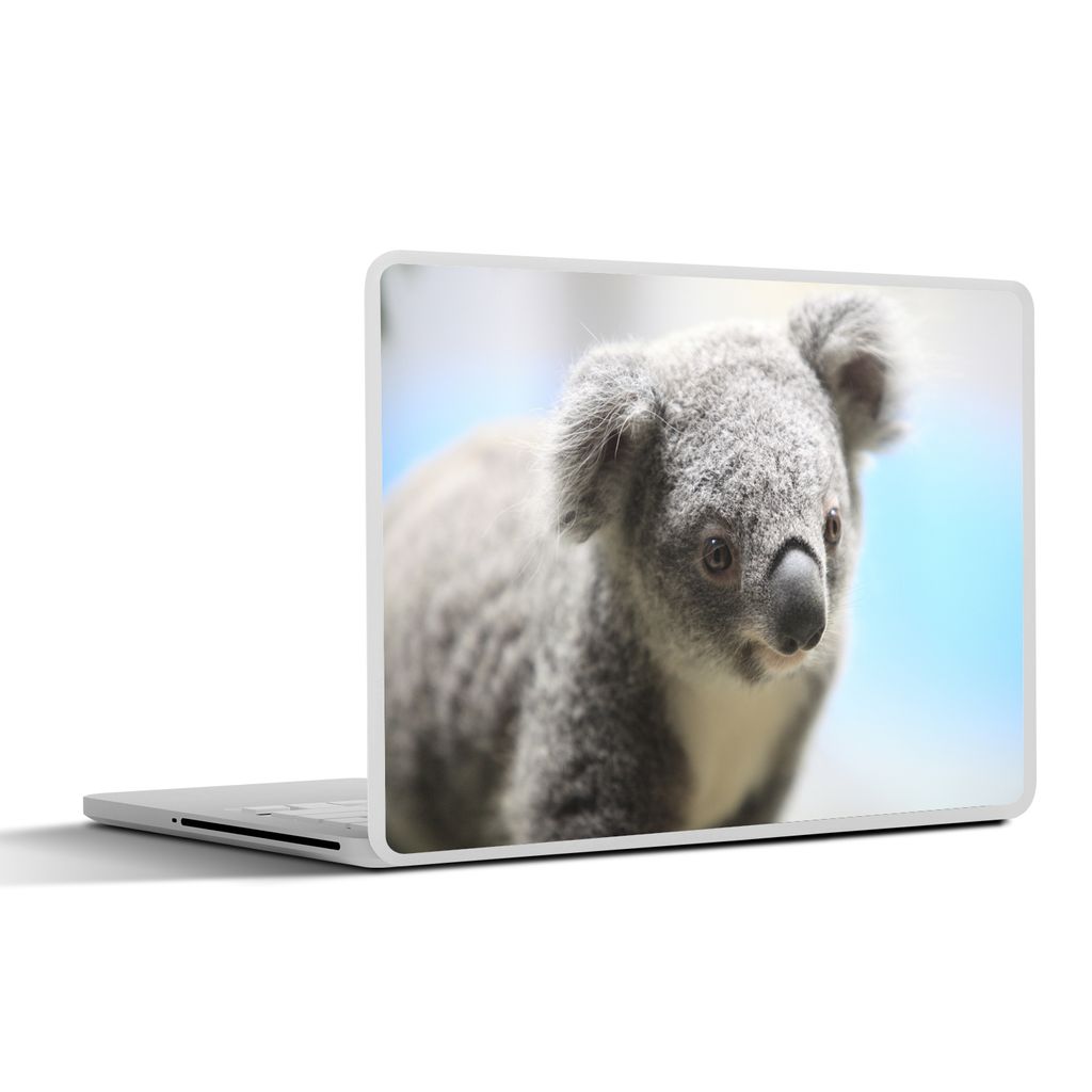 MuchoWow Laptop Aufkleber Sticker Cover Koala - Porträt - Tier - Kinder - Jungen - Mädchen 30x21 cm - Sticker für Laptop - Selbstklebend