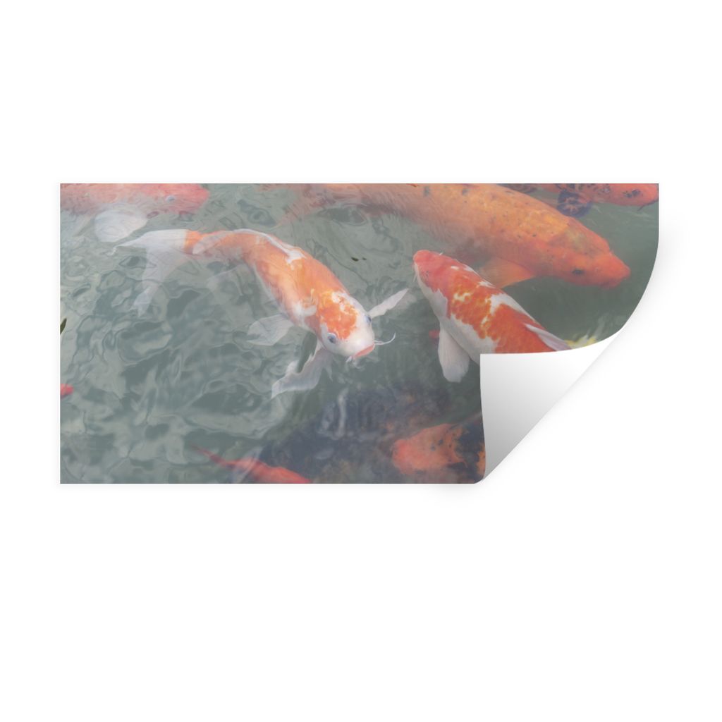 MuchoWow Wandtattoo Wandsticker Wandaufkleber Mehrere Koi-Karpfen 80x40 cm Selbstklebend und Repositionierbar - Aufkleber