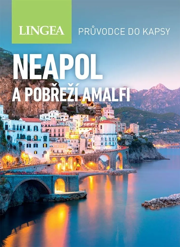 Guide Naples et la Côte Amalfitaine : Pratique de poche pour voyageur