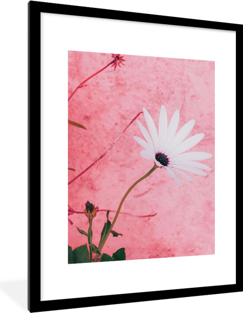 MuchoWow Gerahmtes Poster Blumen - Rosa - Vintage 60x80 cm - Poster mit Schwarzem Bilderrahmen Wandposter Rahmen Foto Bilder - Wohnzimmer - Dekor...