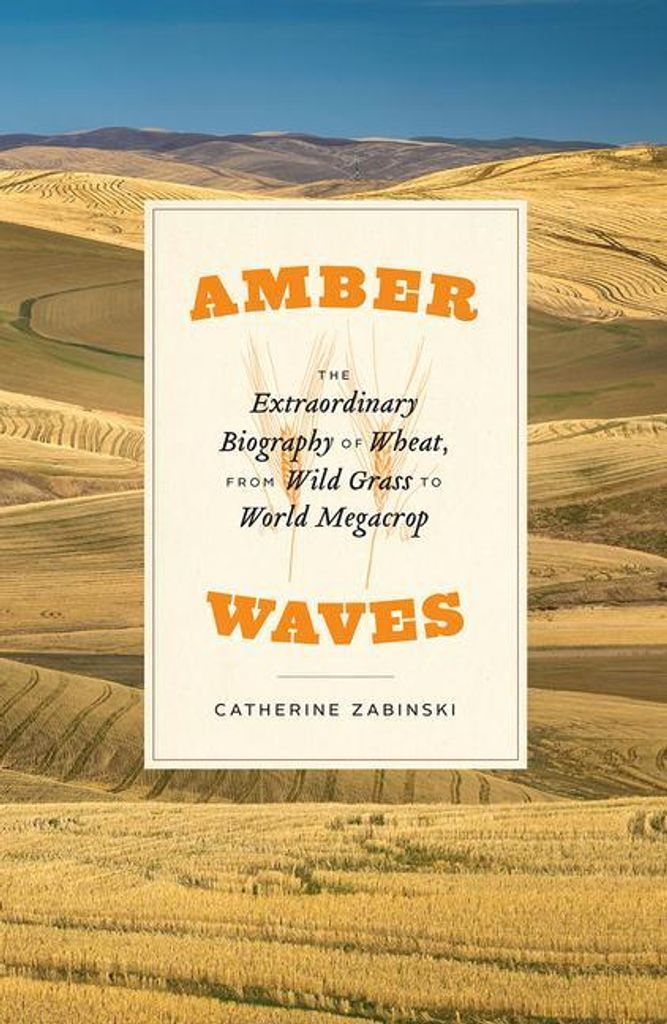 Amber Waves – Lingua: Inglese