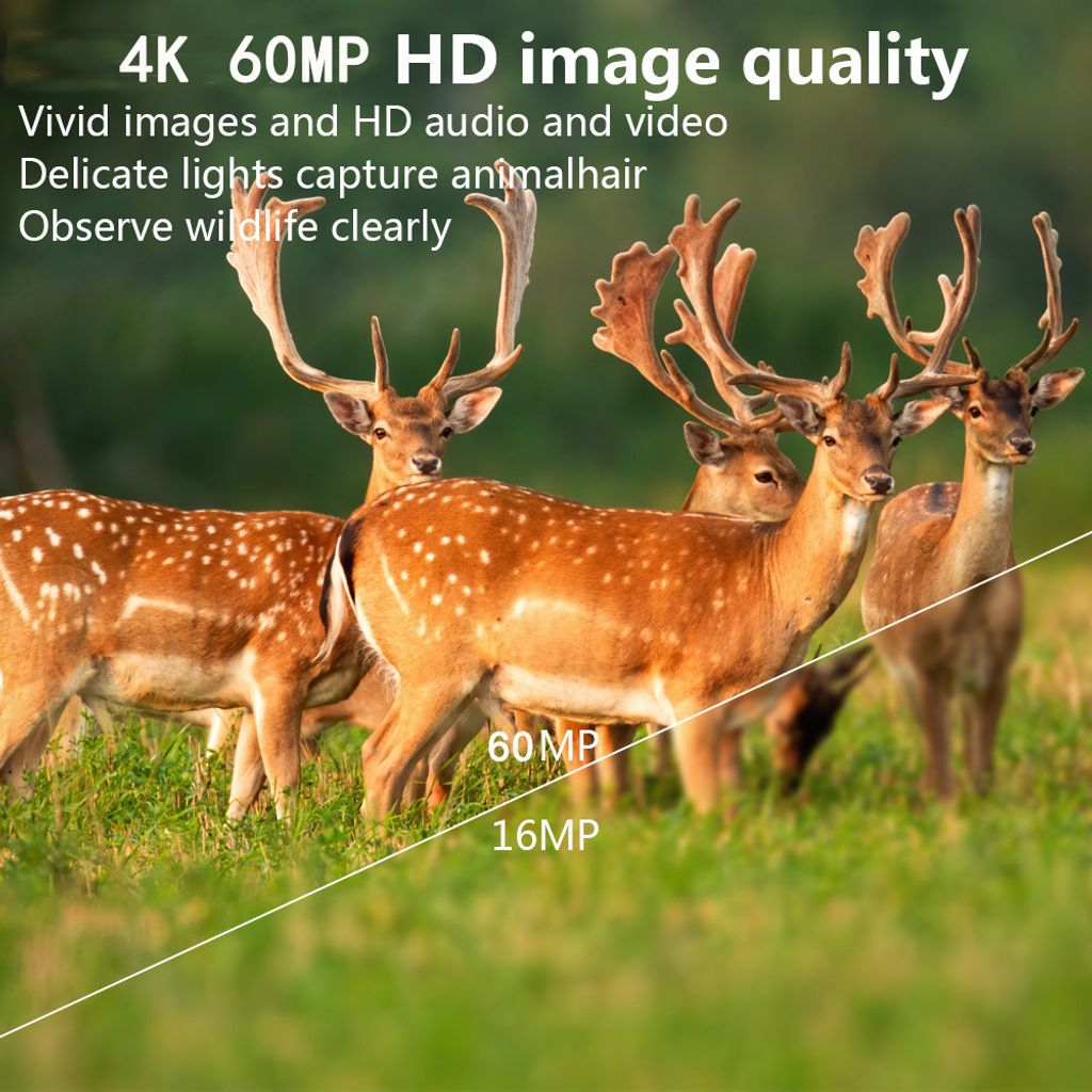 4K 60MP WiFi kamera pro sledování divoké zvěře, noční Obrázek produktu 6