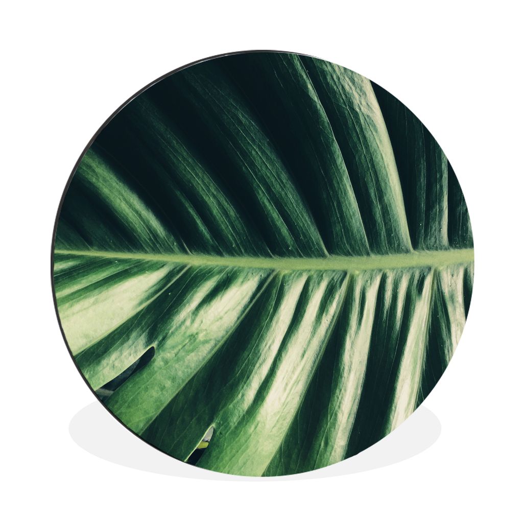MuchoWow Aluminium Wandkreis Blätter - Tropisch - Dschungel Ø 60 cm Wanddeko Modern Wohnzimmer - Wand Kreis - Wandbild - Schlafzimmer - Alumini...