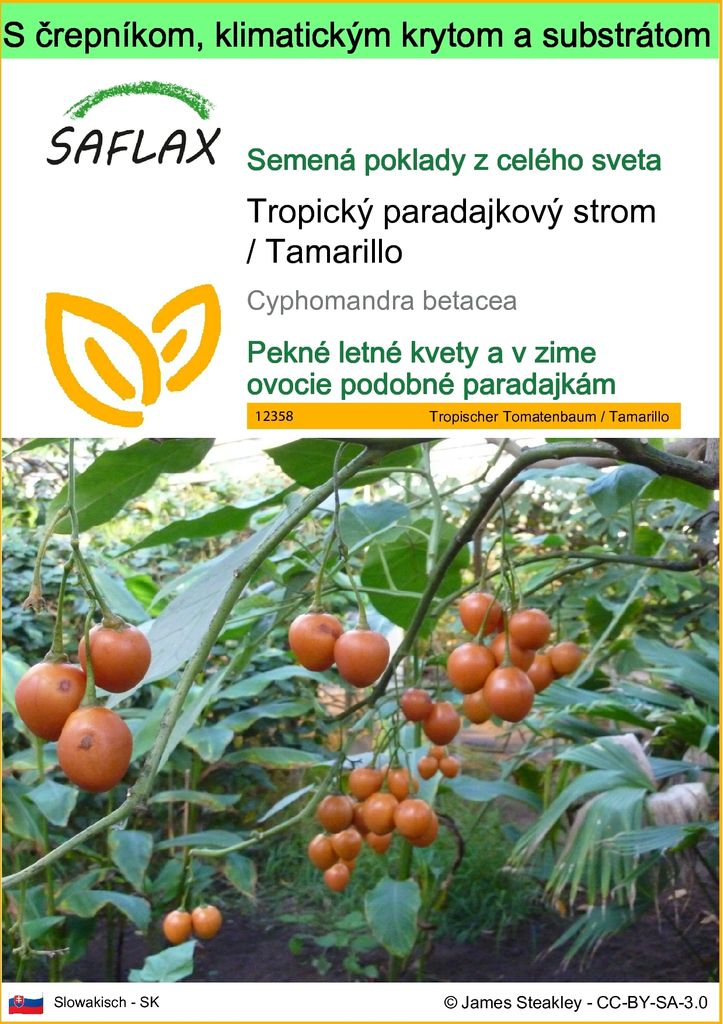 SAFLAX Garden to go - Tropický paradajkový strom / Obrázok produktu 