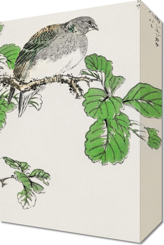 Bild 20x30cm Barbara Dove, Japanische Vintage Kashu
