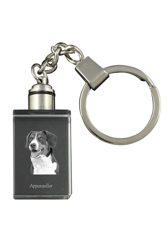Appenzeller Sennenhund, Appenzellerhund - Schlüsselanhänger aus Kristall mit Hundefoto, beleuchteter Schlüsselanhänger, einzigartiges Geschenk ...