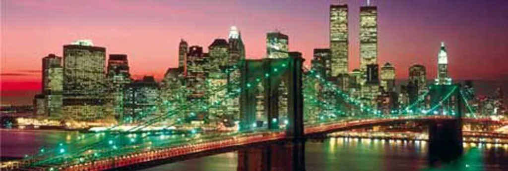 Ambiance New York pour Salon : Poster Slim et Rails de Suspension Alu