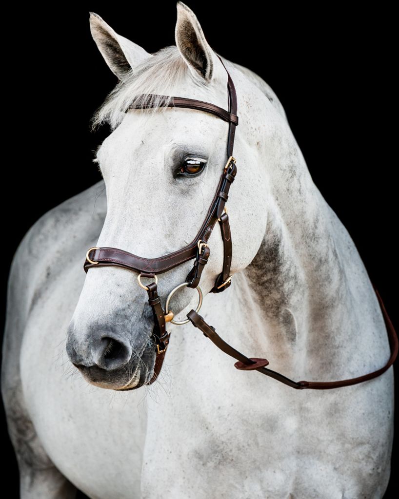 Horseware Ireland Trense Micklem 2 Multi Bridle Produktbild