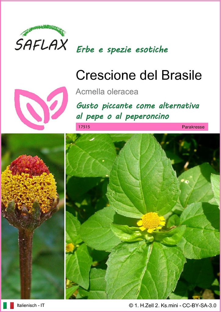 SAFLAX  - Crescione del Brasile - 500 semi - Acmella Immagine del prodotto 