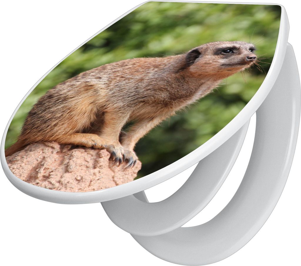 banjado Familien WC Sitz mit Absenkautomatik 37x44,5x5cm -Sitzendes Erdmännchen - Klodeckel/Klobrille mit kindersitz aus hochwertigem Polypropylen...