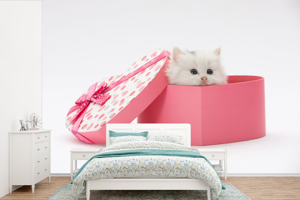 MuchoWow Fototapete für Wohnzimmer oder Schlafzimmer Wandtapete Vinyl Motivtapete Eine Nahaufnahme eines Kätzchens aus einem Geschenk - 390x260...