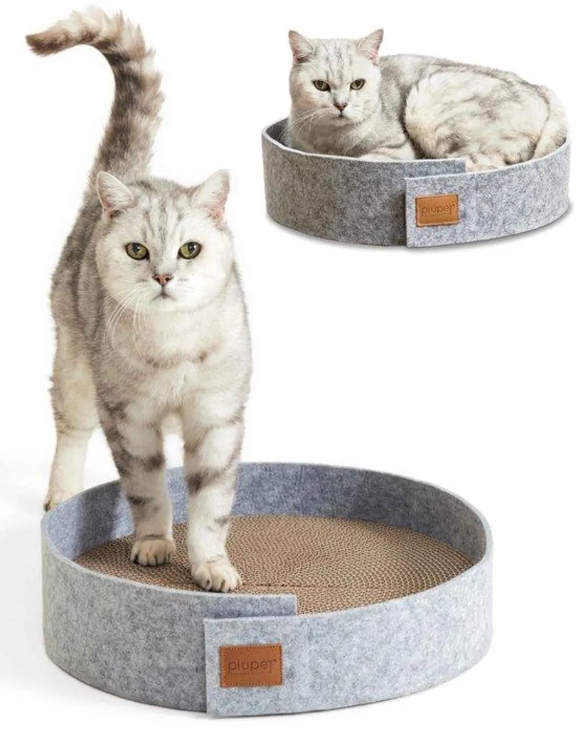 Grattoir Chat Anti-Stress - Stop aux Griffes sur Canapé, Carton de 38 cm