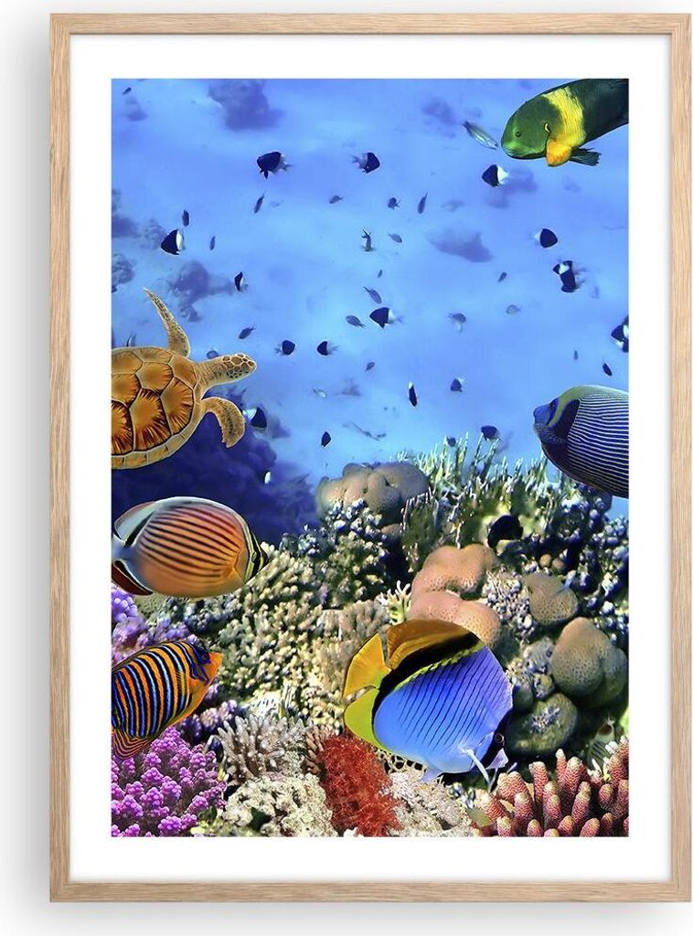 Gerahmtes Poster - Rahmen in heller Eiche - Korallenriff - 50x70 cm - Wand Bild - Wanddeko - Wandbilder - Kunstposter - Wandposter - Bilderrahmen -...