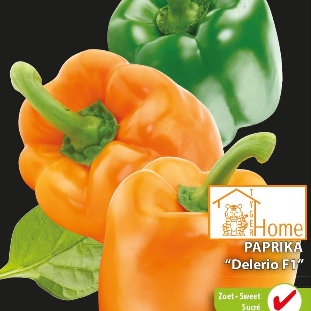 Paprika Delerio F1 SamenStück – Züchten Sie süße, knusprige Paprika – Hochwertige Gemüsegartensamen für eine reiche Ernte