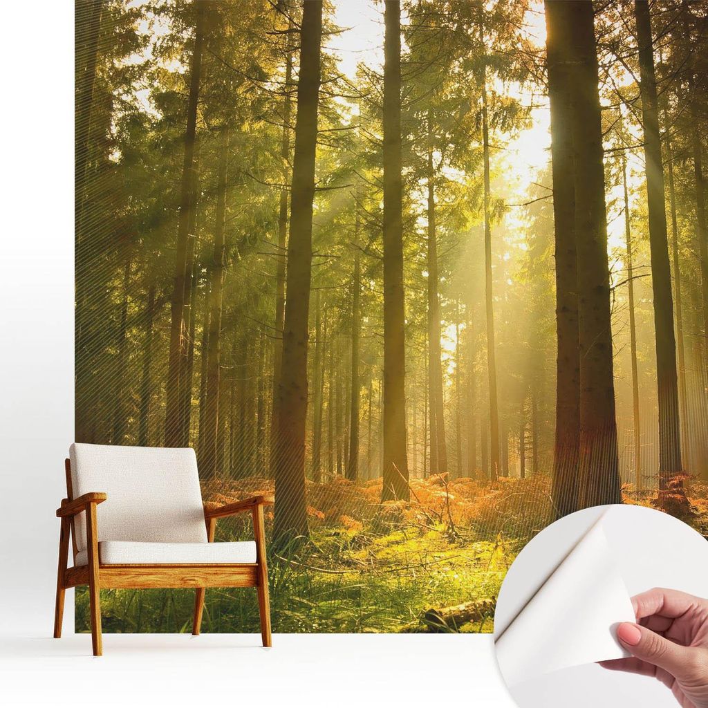 Fototapete selbstklebend - 250x250 cm - Tapete - Wandtapete - Wandbilder - Klebefolie - Dekofolie - Tapete Folie - Wand - Dekoration - Wohnzimmer -...