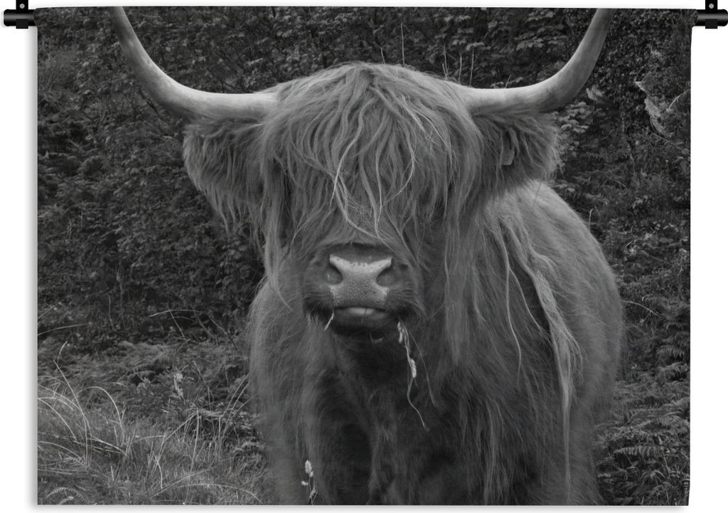 MuchoWow Wandteppich Wandbehang Fressende schottische Hochlandrind-Kuh - schwarz und weiß 150x112 cm Tapisserie Dekoration Wandtuch - Wanddecke ...