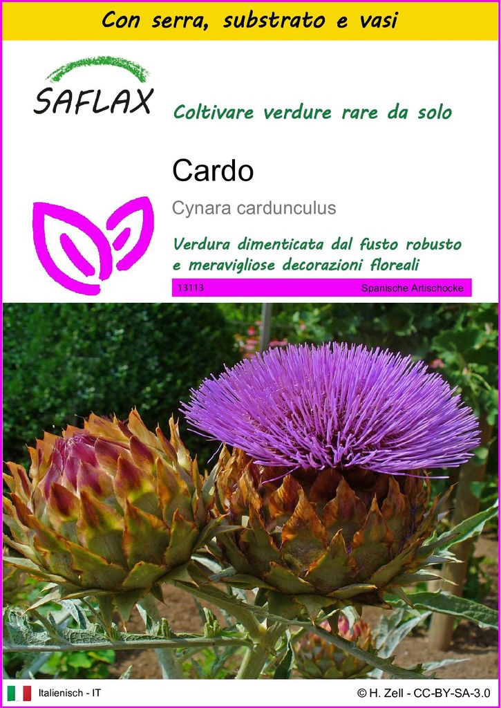 SAFLAX Insieme di coltivazione - Cardo  - 50 semi - Cynara Immagine del prodotto 