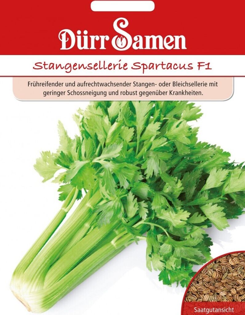 Dürr-Samen - Stangensellerie Spartacus F1 - Saatgut - 4154