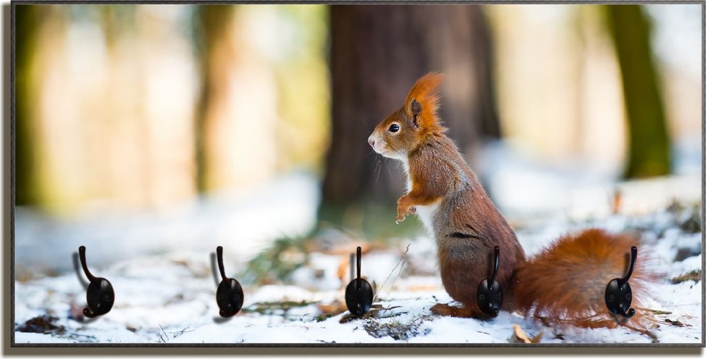 Wallario Flurgarderobe Wandgarderobe aus Holz, mit 5 Haken, Größe 80 x 40 cm, Motiv Neugieriges Eichhörnchen im verschneiten Wald