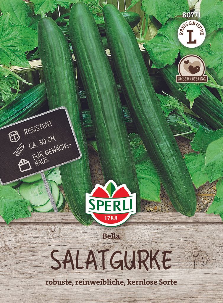 SPERLI Salatgurkensamen Bella F1 Cucumis sativus 5 Pflanzen Produktbild 