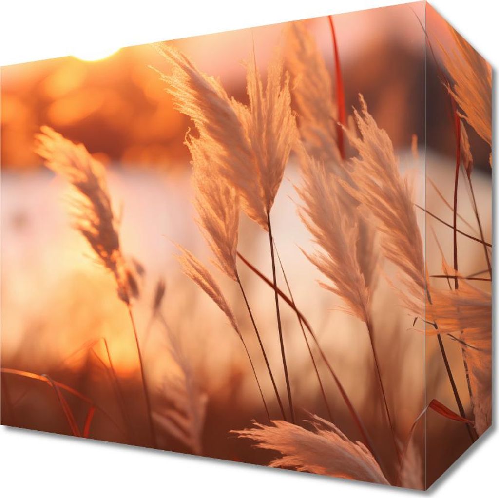 Bild 20x20cm Goldener Sonnenuntergang