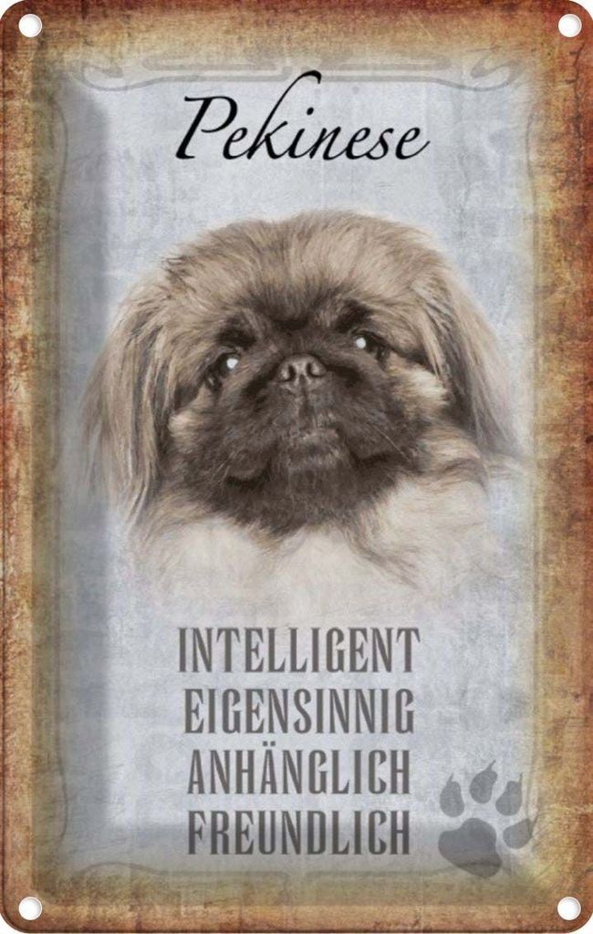 vianmo Blechschild 30x20 cm Pekinese Hund Tier Haustier