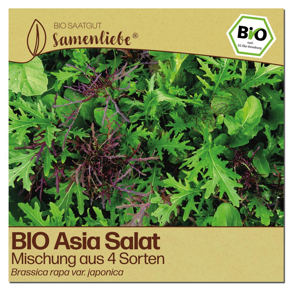 Samenliebe  Asia Salat Samen | 4 Sorten Mix - winterhart - Produktbild 