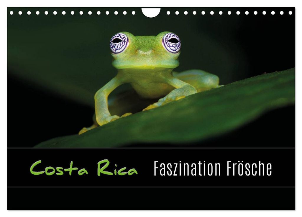 Costa Rica - Faszination Frösche (Wandkalender 2027 DIN A4 quer), CALVENDO Monatskalender