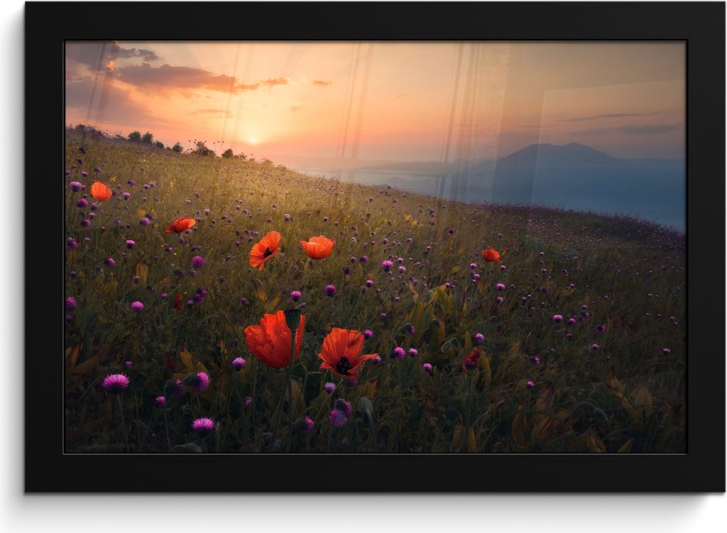 MuchoWow MuchoWow Gerahmtes Poster Blumenfeld - Gras - Blumen - Pflanzen - Sonnenuntergang - Orange 30x20 cm - Poster mit zchwarzem Bilderrahme...