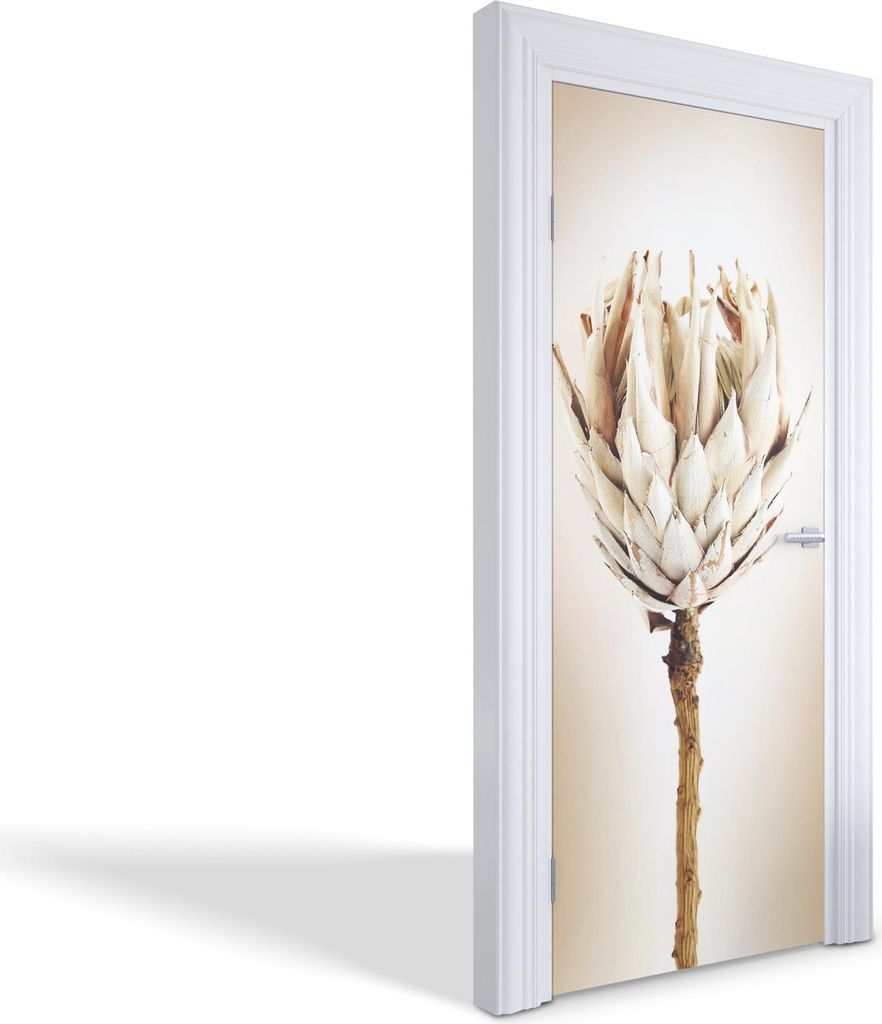 Selbstklebende Türfolien Kreativ Türtapeten Wandsticker - Trockene Blume - 85 x 205 cm