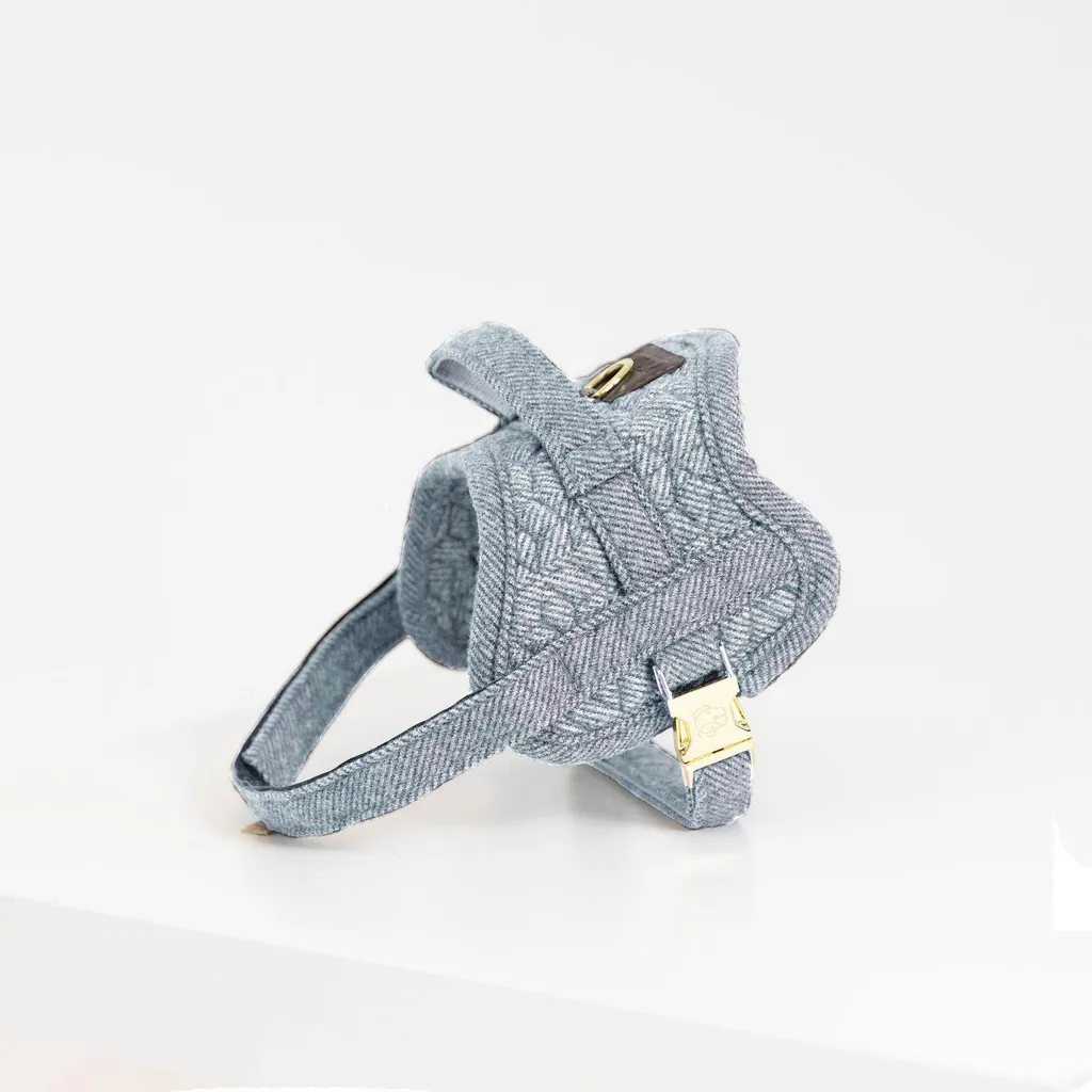 Kentucky Dogwear Pettorina Body Safe L Azzurro - Qualità di Una Volta