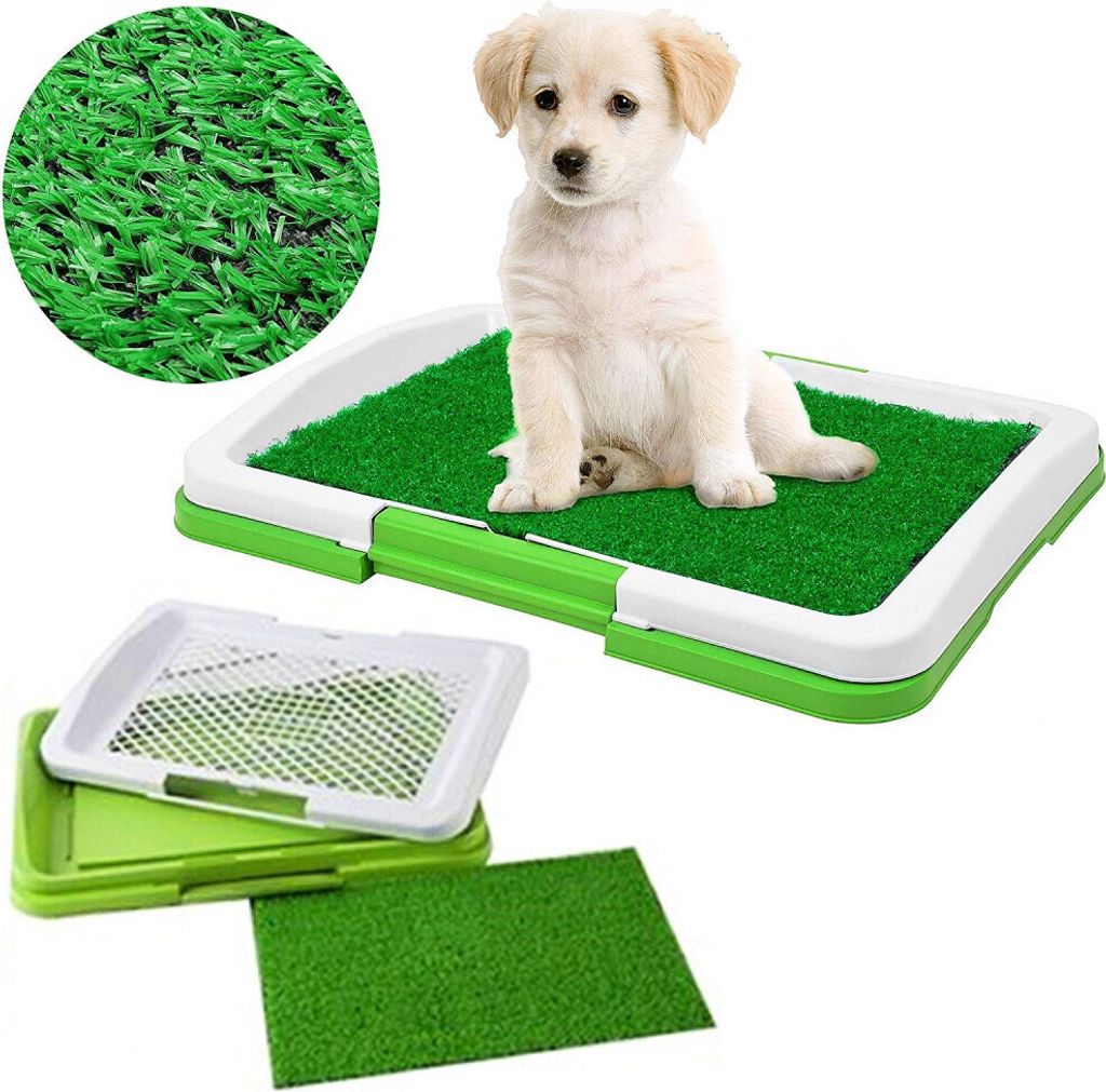 Tappetino da toilette per cani Tappetino da addestramento Immagine del prodotto 