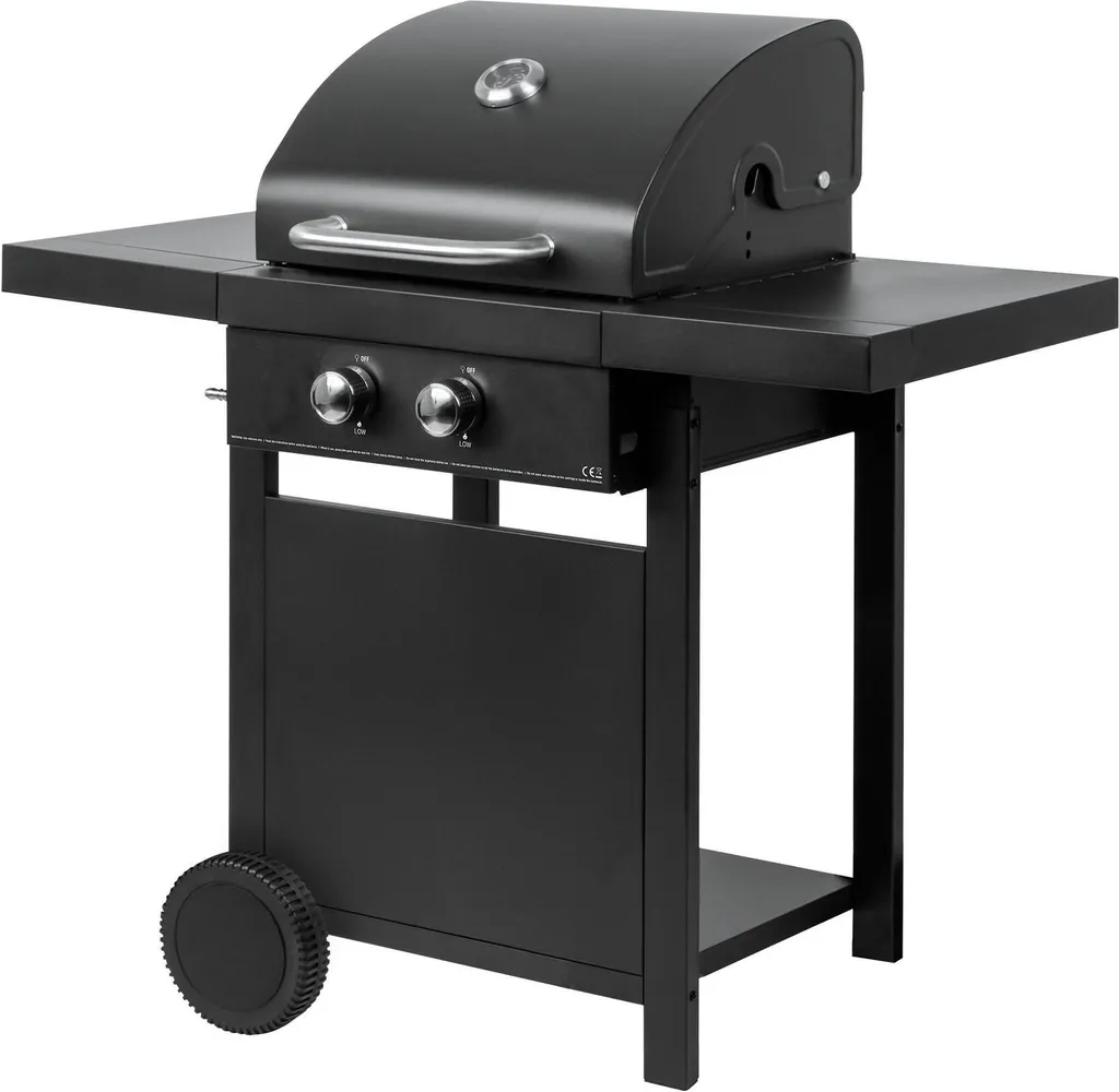 Barbecue à Gaz 2 Brûleurs Master Grill MG669 avec Allumage Électronique