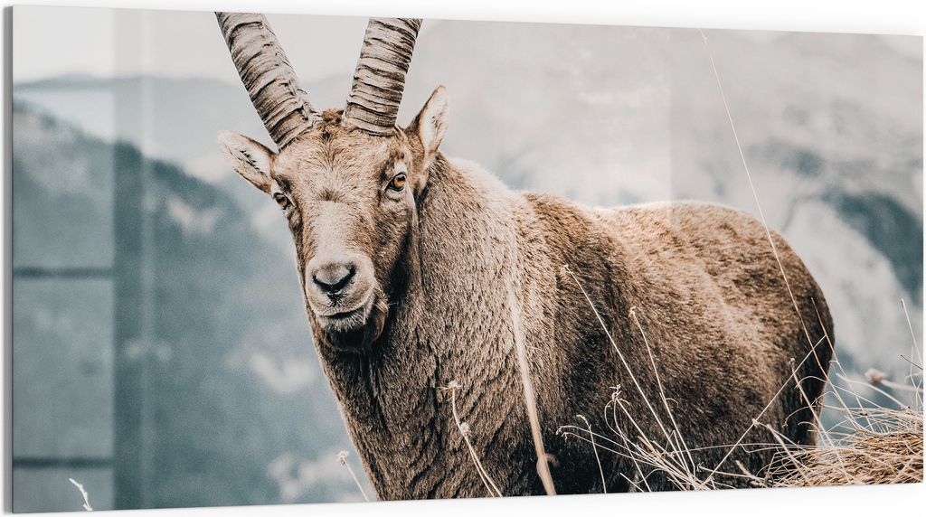 DEQORI Magnettafel Glas 100x50 cm 'Wächter der Berge' beschreibbar Whiteboard Küche