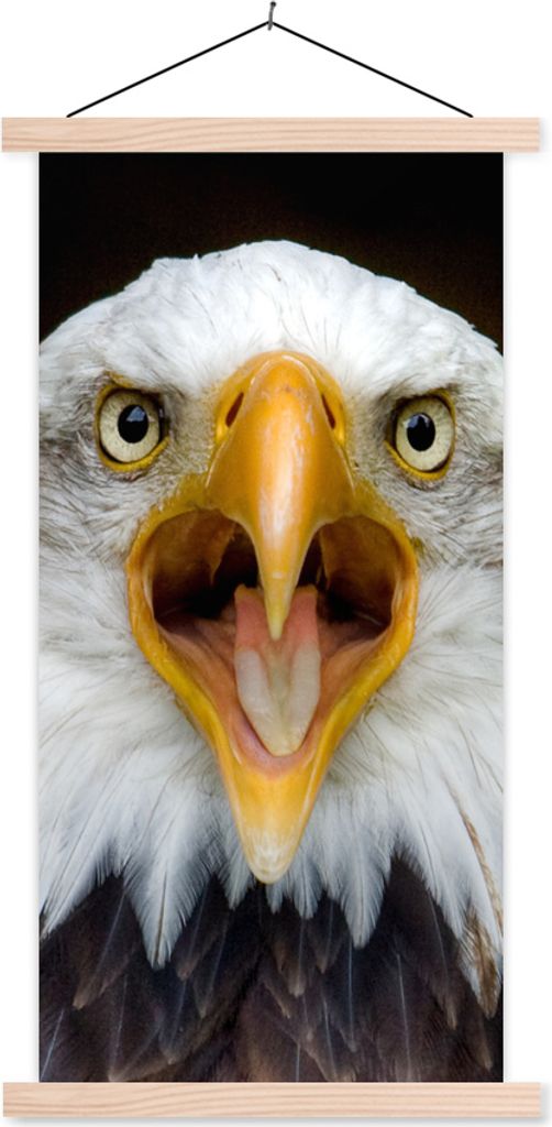 MuchoWow Textilposter Nahaufnahme eines Adlers 60x120 cm mit holzfarbenen Rahmen - Holz