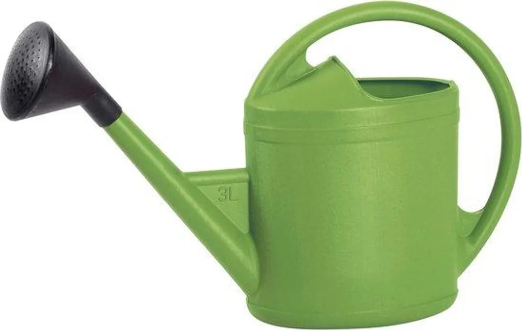 Grand Arrosoir de Jardin Ovale 3 Litres avec Bec Verseur Précis Vert
