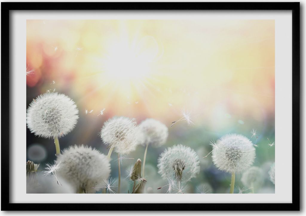 Bild - Bilderrahmen - 100 cm x 70 cm - MDF - Rahmen - Foto Produktbild 