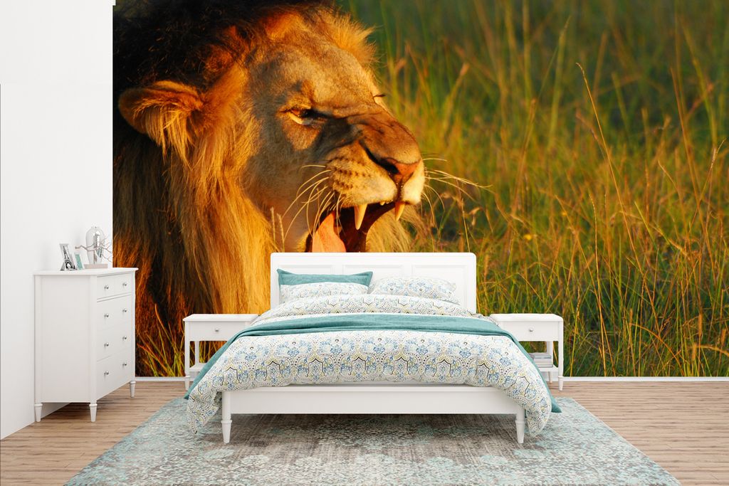 MuchoWow Fototapete für Wohnzimmer oder Schlafzimmer Wandtapete Vinyl Motivtapete Brüllender Löwe im Gras - 400x240 cm - Gemustert