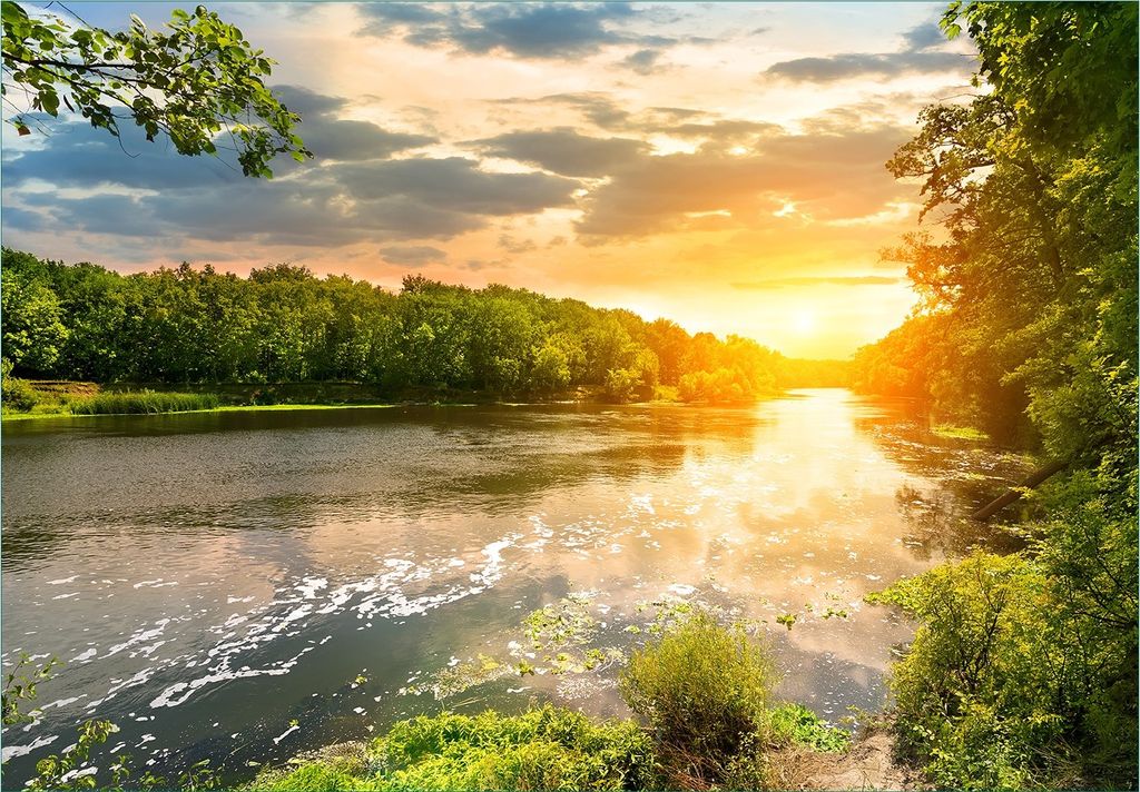 Wallario Fototapete Vliestapete, seidenmatte Oberfläche, einfache Verarbeitung, Größe 200 x 140 cm, Motiv Sonnenuntergang am Fluss in grüner Um...