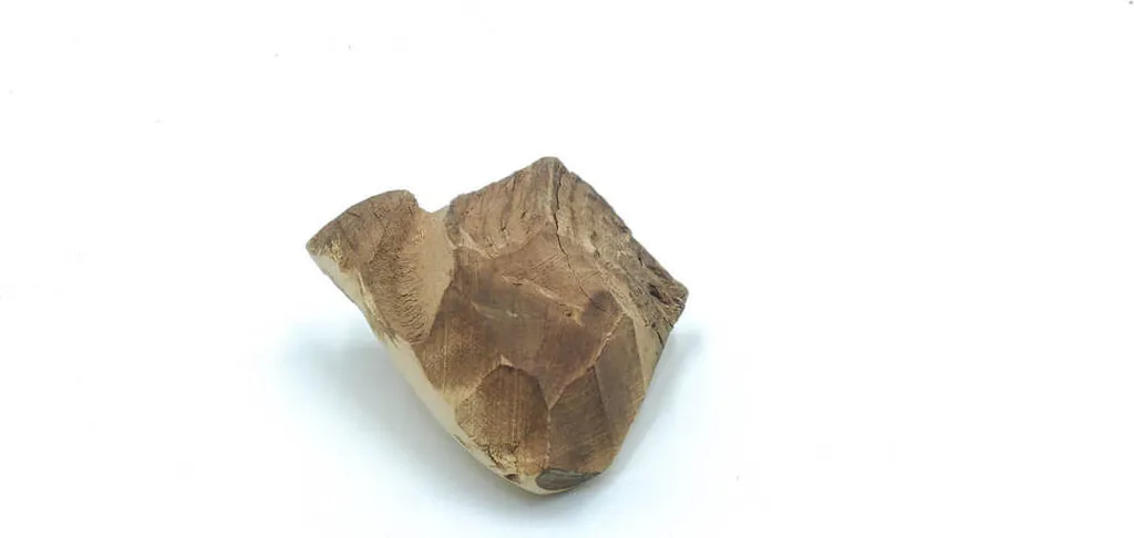 Os Briar Root en bois de bruyère résistant pour chien format S - 8