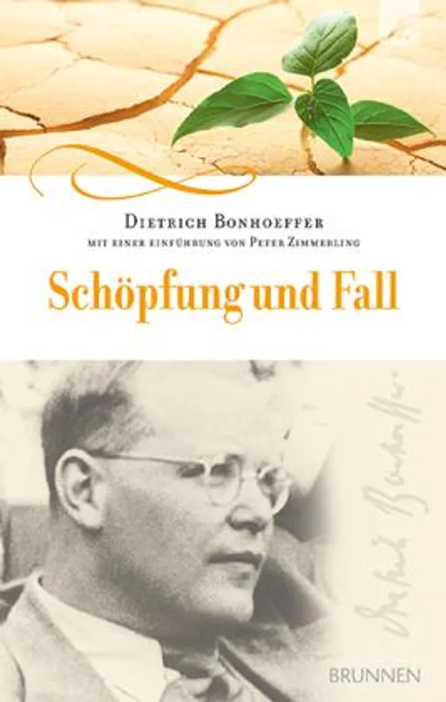 Comprendre la Genèse avec Schöpfung und Fall - Solution Exégétique
