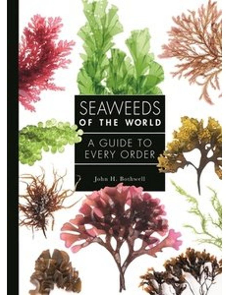 Seaweeds of the World