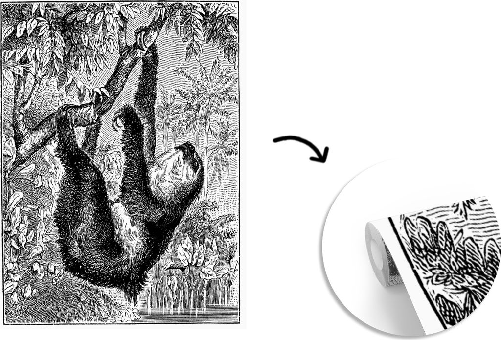 MuchoWow Fototapete für Wohnzimmer oder Schlafzimmer Wandtapete Vinyl Motivtapete Eine antike Illustration eines Faultiers - 220x260 cm - Vinyl-...