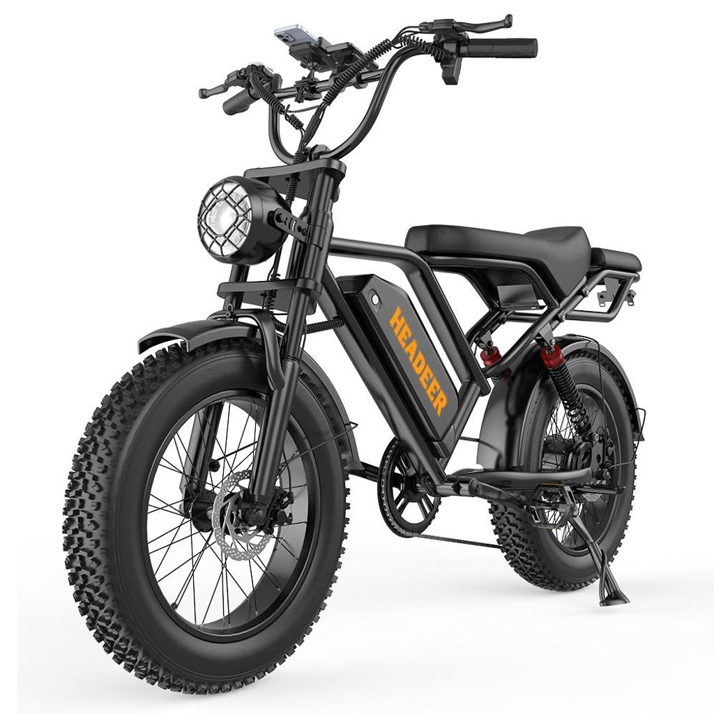 Elektrofahrrad für Erwachsene BK20, Akku 48 V 20 Ah, Produktbild 